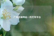 广州货源网站一件代发平台