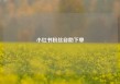 小红书粉丝自助下单
