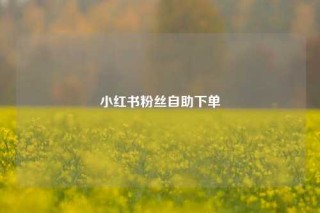 小红书粉丝自助下单