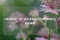 60年来首次！这一巨头企业近千万美元年薪CEO意外被炒