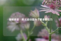 瑞银高管：美元波动提升了黄金吸引力