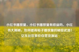 小红书播放量，小红书播放量有收益吗，小红书大揭秘，如何提高帖子播放量的秘密武器！亿乐社区低价自营货源站