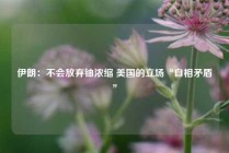 伊朗：不会放弃铀浓缩 美国的立场“自相矛盾”