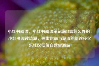 小红书阅读，小红书阅读笔记满15篇怎么弄的，小红书阅读热潮，探索时尚与潮流的新途径亿乐社区低价自营货源站
