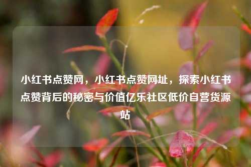 小红书点赞网，小红书点赞网址，探索小红书点赞背后的秘密与价值亿乐社区低价自营货源站  第1张