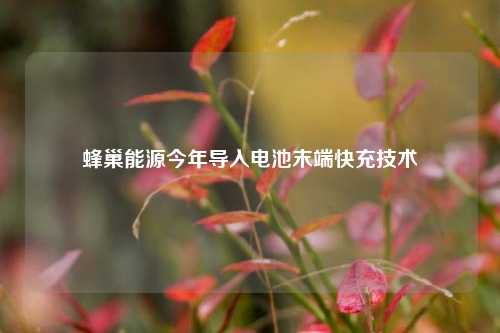 蜂巢能源今年导入电池末端快充技术  第1张