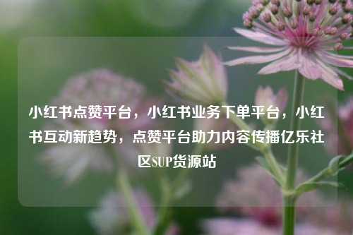 小红书点赞平台，小红书业务下单平台	，小红书互动新趋势，点赞平台助力内容传播亿乐社区SUP货源站  第1张