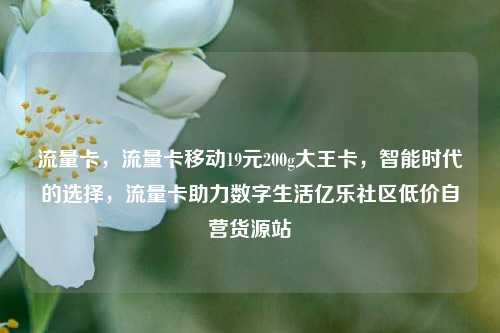 流量卡，流量卡移动19元200g大王卡，智能时代的选择，流量卡助力数字生活亿乐社区低价自营货源站  第1张