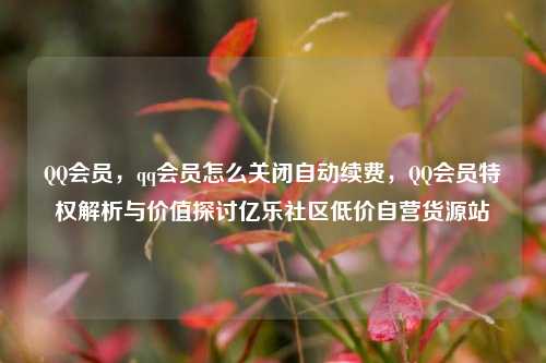 QQ会员	，qq会员怎么关闭自动续费，QQ会员特权解析与价值探讨亿乐社区低价自营货源站  第1张
