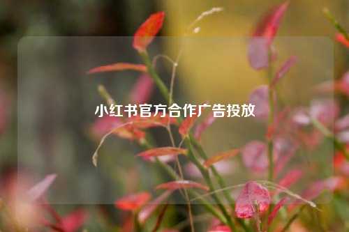 小红书官方合作广告投放  第1张
