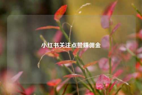 小红书关注点赞赚佣金  第1张