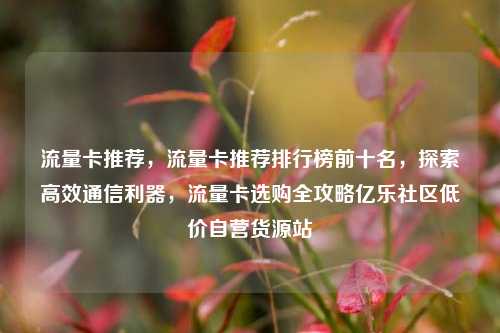 流量卡推荐，流量卡推荐排行榜前十名	，探索高效通信利器，流量卡选购全攻略亿乐社区低价自营货源站  第1张