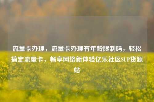 流量卡办理，流量卡办理有年龄限制吗，轻松搞定流量卡，畅享网络新体验亿乐社区SUP货源站  第1张