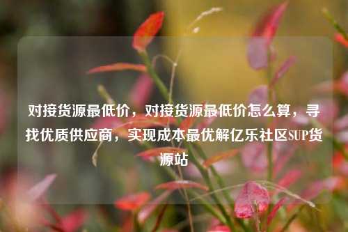 对接货源最低价	，对接货源最低价怎么算，寻找优质供应商，实现成本最优解亿乐社区SUP货源站  第1张