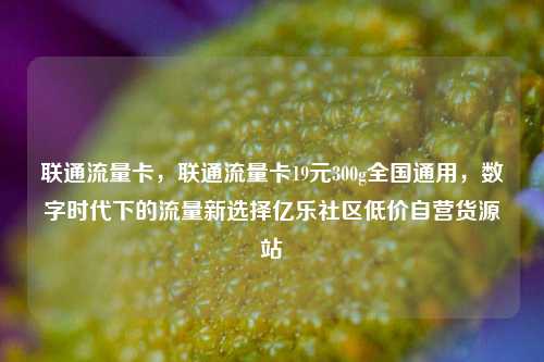 联通流量卡，联通流量卡19元300g全国通用，数字时代下的流量新选择亿乐社区低价自营货源站  第1张