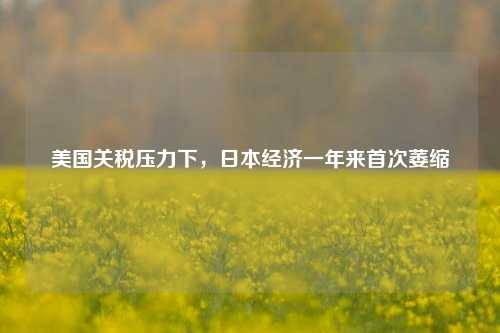 美国关税压力下，日本经济一年来首次萎缩  第1张