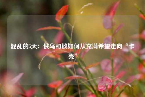 混乱的5天：俄乌和谈如何从充满希望走向“卡壳”  第1张