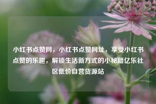 小红书点赞网	，小红书点赞网址，享受小红书点赞的乐趣，解锁生活新方式的小秘籍亿乐社区低价自营货源站  第1张