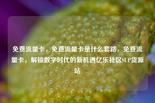 免费流量卡	，免费流量卡是什么套路，免费流量卡，解锁数字时代的新机遇亿乐社区SUP货源站  第1张