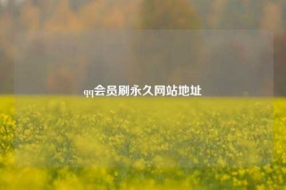 qq会员刷永久网站地址