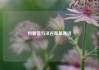 特朗普与泽连斯基通话