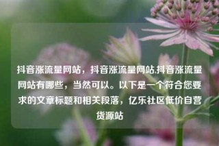 抖音涨流量网站，抖音涨流量网站,抖音涨流量网站有哪些，当然可以。以下是一个符合您要求的文章标题和相关段落，亿乐社区低价自营货源站