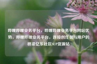 哔哩哔哩业务平台，哔哩哔哩业务平台网站优势，哔哩哔哩业务平台，连接创作者与用户的桥梁亿乐社区SUP货源站