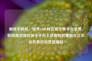刷快手粉丝，快手24小时在线下单平台免费，如何高效地在快手平台上获取和积累粉丝亿乐社区低价自营货源站
