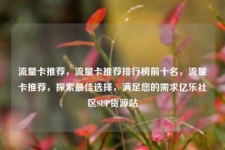 流量卡推荐，流量卡推荐排行榜前十名，流量卡推荐，探索最佳选择，满足您的需求亿乐社区SUP货源站