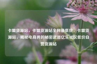 卡盟货源站，卡盟货源站全网最低价，卡盟货源站，揭秘电商界的秘密武器亿乐社区低价自营货源站