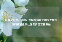 抖音买粉丝，揭秘，如何在抖音上购买大量粉丝的秘密亿乐社区低价自营货源站