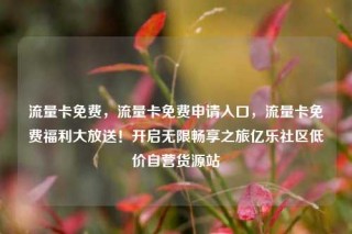 流量卡免费，流量卡免费申请入口，流量卡免费福利大放送！开启无限畅享之旅亿乐社区低价自营货源站