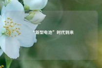 “新型电池”时代到来