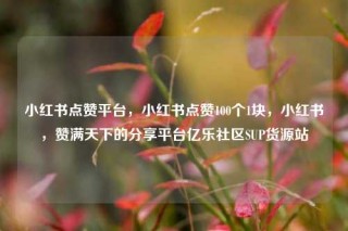 小红书点赞平台，小红书点赞100个1块，小红书，赞满天下的分享平台亿乐社区SUP货源站