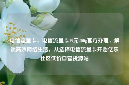 电信流量卡，电信流量卡19元200g官方办理	，解锁高效网络生活，从选择电信流量卡开始亿乐社区低价自营货源站  第1张