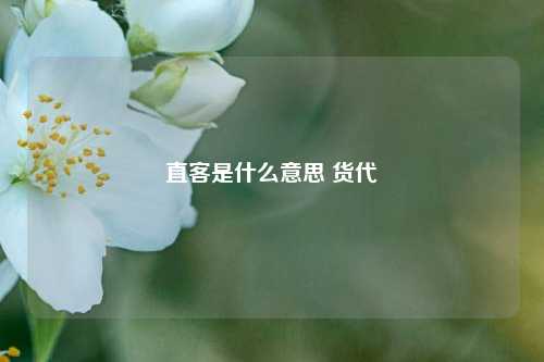 直客是什么意思 货代  第1张