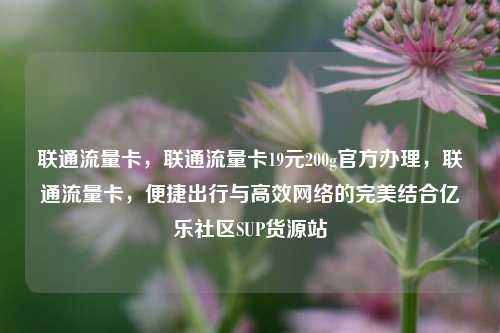 联通流量卡，联通流量卡19元200g官方办理，联通流量卡，便捷出行与高效网络的完美结合亿乐社区SUP货源站  第1张