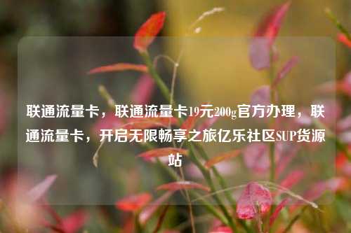 联通流量卡	，联通流量卡19元200g官方办理，联通流量卡，开启无限畅享之旅亿乐社区SUP货源站  第1张