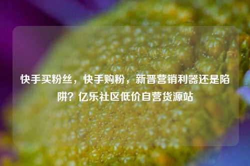 快手买粉丝，快手购粉，新晋营销利器还是陷阱？亿乐社区低价自营货源站  第1张