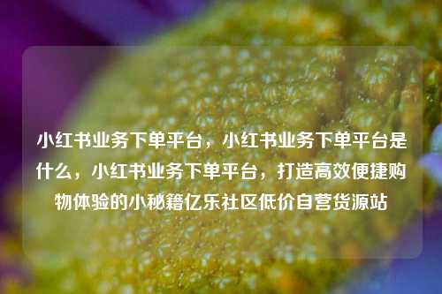 小红书业务下单平台	，小红书业务下单平台是什么，小红书业务下单平台，打造高效便捷购物体验的小秘籍亿乐社区低价自营货源站  第1张