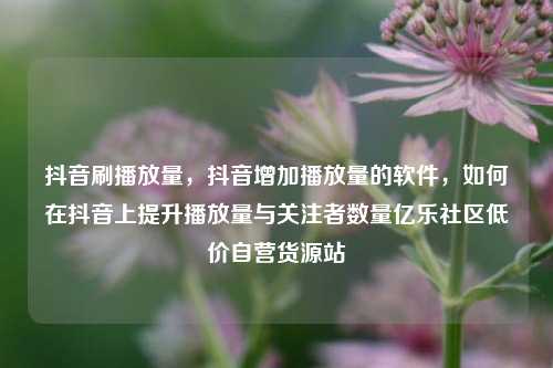 抖音刷播放量，抖音增加播放量的软件	，如何在抖音上提升播放量与关注者数量亿乐社区低价自营货源站  第1张