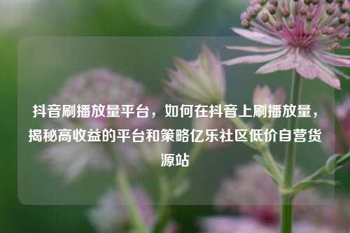 抖音刷播放量平台	，如何在抖音上刷播放量，揭秘高收益的平台和策略亿乐社区低价自营货源站  第1张