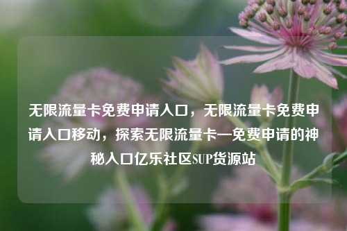 无限流量卡免费申请入口，无限流量卡免费申请入口移动	，探索无限流量卡—免费申请的神秘入口亿乐社区SUP货源站  第1张