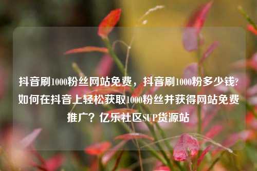 抖音刷1000粉丝网站免费，抖音刷1000粉多少钱?如何在抖音上轻松获取1000粉丝并获得网站免费推广？亿乐社区SUP货源站  第1张