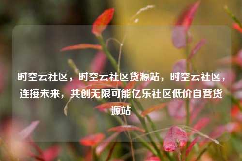 时空云社区，时空云社区货源站，时空云社区	，连接未来，共创无限可能亿乐社区低价自营货源站  第1张