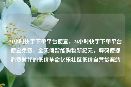 24小时快手下单平台便宜，24小时快手下单平台便宜免费	，全天候智能购物新纪元，解码便捷消费时代的低价革命亿乐社区低价自营货源站  第1张